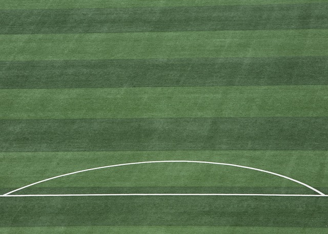 CBA季后赛悬念迭起：广厦42分狂胜，谁将成为最终赢家？.