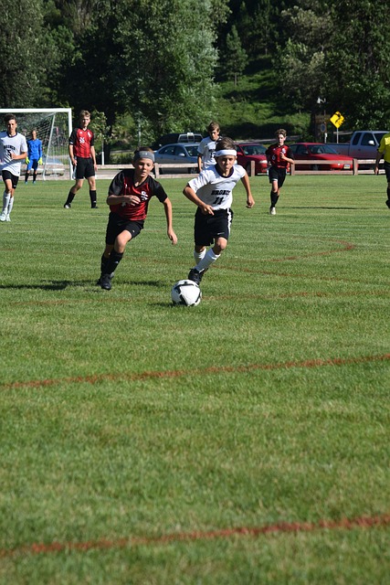 村民收入显 村民收入显