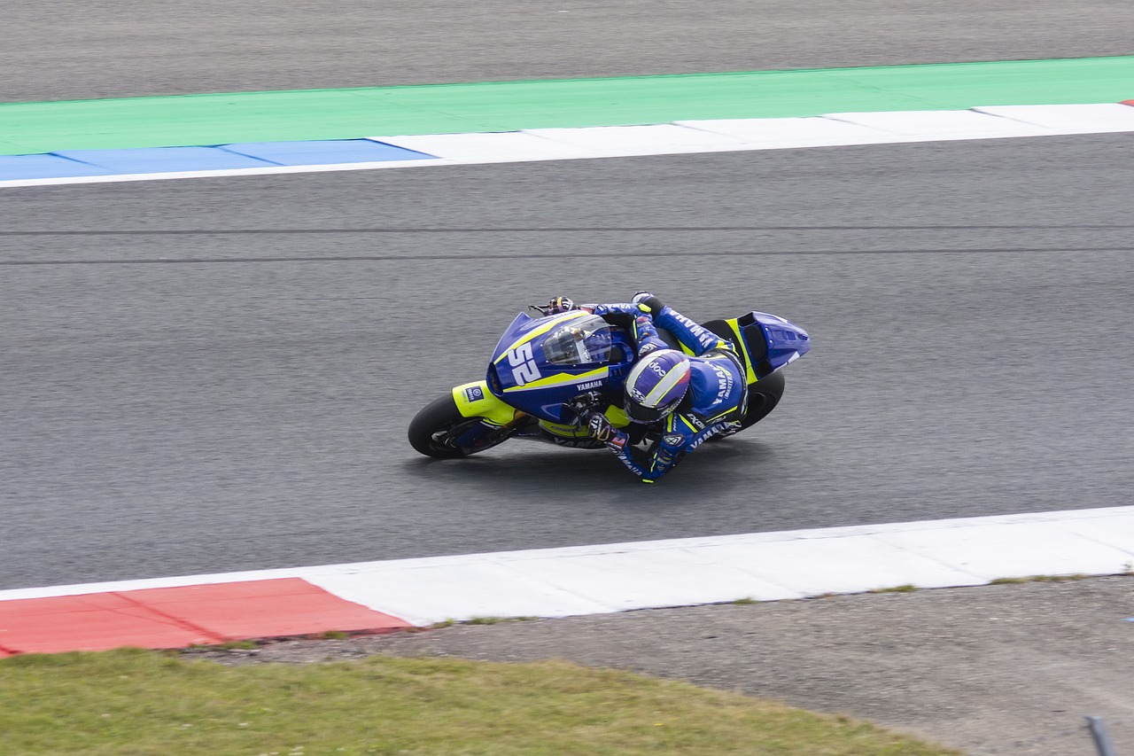 特别提醒参 特别提醒参