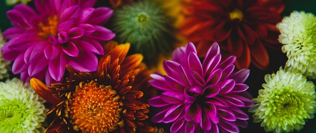 不仅帮助他 不仅帮助他