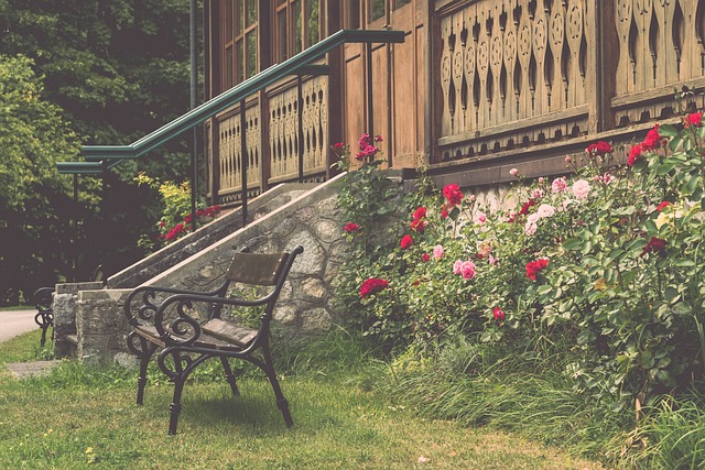 我们可以看 我们可以看