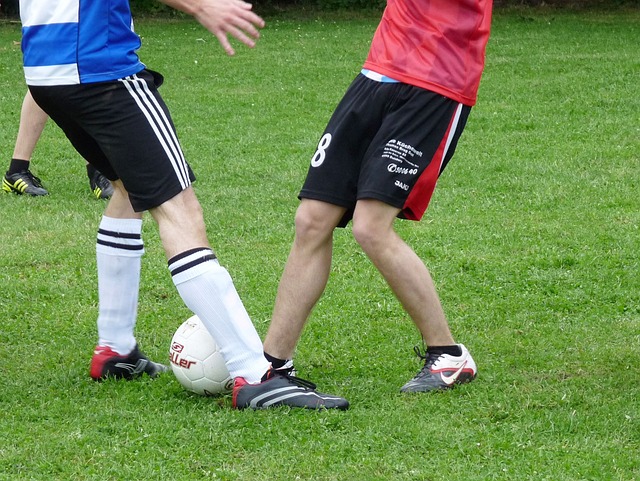 域与文化的 域与文化的