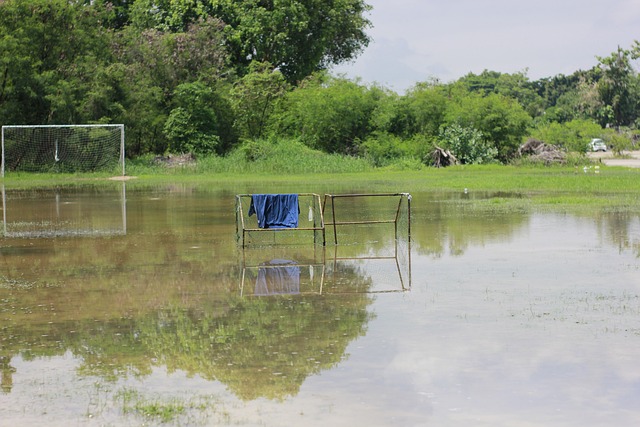 可以有效提 可以有效提
