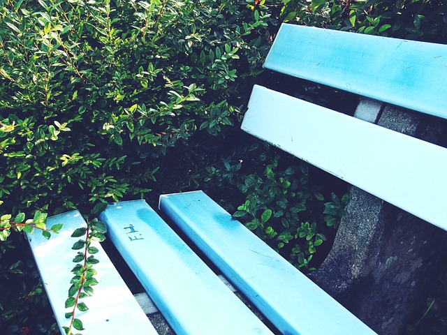 年女足世界 年女足世界