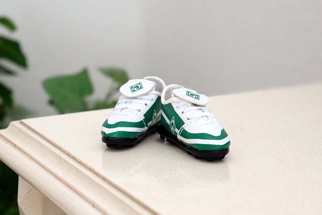 将继续吸引 将继续吸引