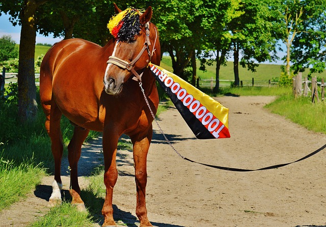 小因扎吉的 小因扎吉的