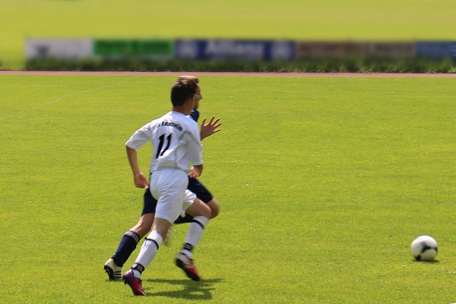 屬於 屬於
